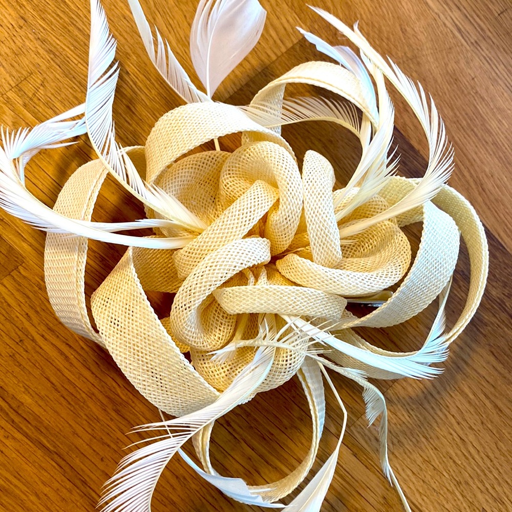 NWT Fascinator